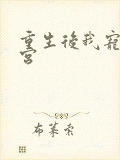 重生后我宠冠东宫