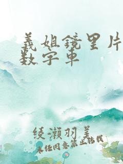 义姐镜里片微博数字车