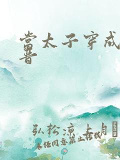 当太子穿成大福晋