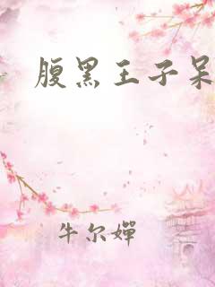 腹黑王子呆呆女