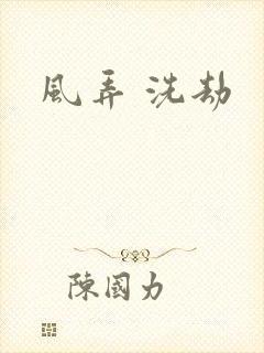 风弄 洗劫
