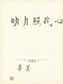 明月照我心小说