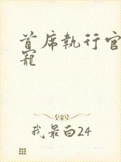 首席执行官的绝宠