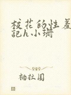 校花的性羞辱日记h小珊