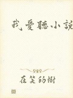 我爱听小说