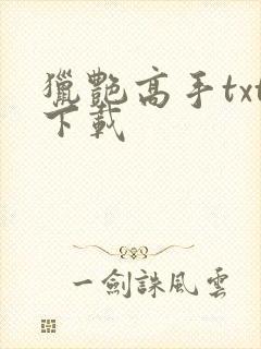 猎艳高手txt下载