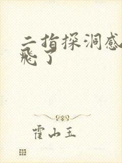 二指探洞感觉要飞了