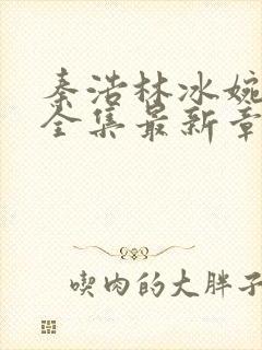 秦浩林冰婉小说全集最新章节