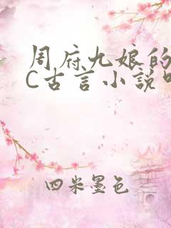 周府九娘的NPC古言小说叫什么