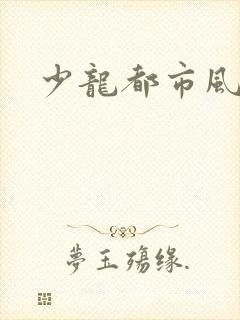少龙都市风流行