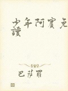 少年阿宾免费阅读