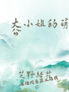 大小姐的萌物老公