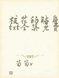 校花的贴身保镖txt全集免费下载