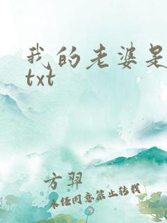 我的老婆是警察txt