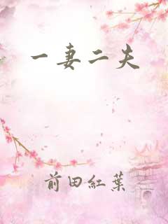一妻二夫
