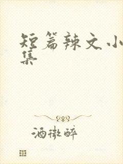 短篇辣文小说合集