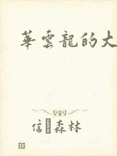 华云龙的大宝贝