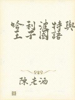 哈利波特与混血王子国语