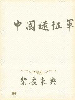 中国远征军小说