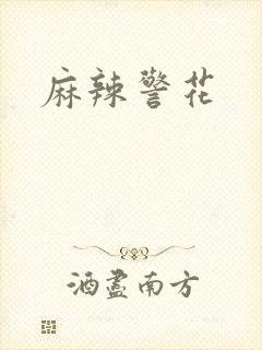 麻辣警花