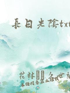 长日光阴txt