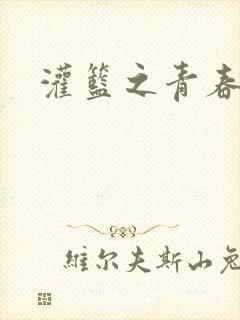 灌篮之青春无敌