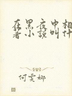 在黑夜中相拥原著小说叫什么