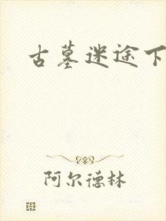 古墓迷途下载