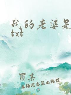 我的老婆是上司txt