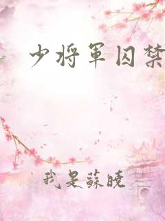 少将军囚禁我