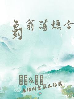 色翁荡熄合集系列