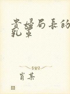 贵妇局长的蕾丝乳罩