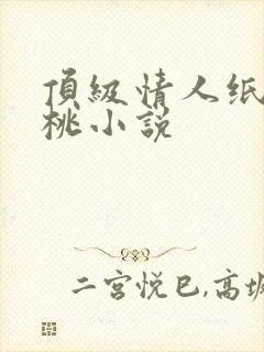 顶级情人纸皮核桃小说