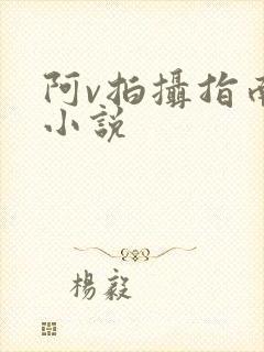 阿v拍摄指南说小说