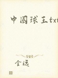 中国球王txt
