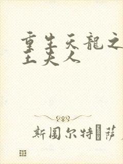 重生天龙之推倒王夫人