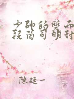 少帅的双面宠妻段茵司明封免费