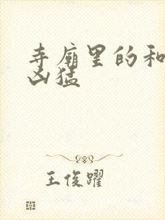 寺庙里的和尚很凶猛