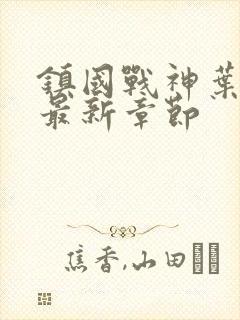 镇国战神叶君临最新章节