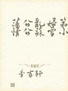 荡公乱妇第1章情公苏雪小说