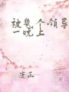 被几个领导玩弄一晚上