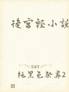 后宫轻小说