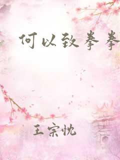 何以致拳拳番外