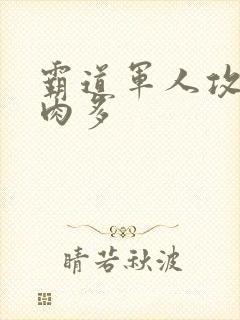 霸道军人攻现代肉多