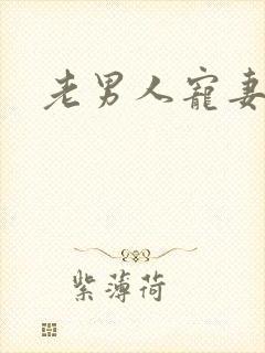 老男人宠妻日常
