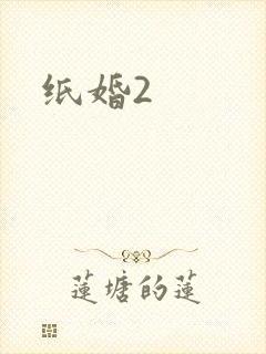 纸婚2