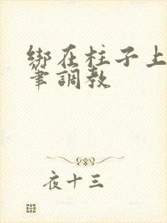 绑在柱子上用毛笔调教