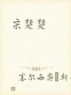 宋楚楚