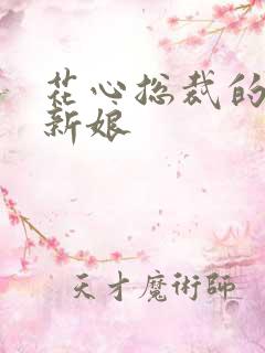 花心总裁的契约新娘