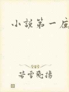 小说第一庶女